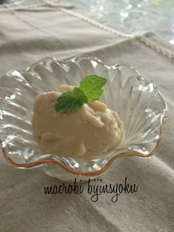マクロビオティック豆腐アイスプレーン